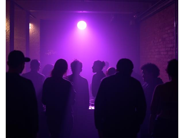 Intimate basement party with a DJ illuminated by a single spotlight, a small group of people dancing closely